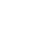 NPX logo